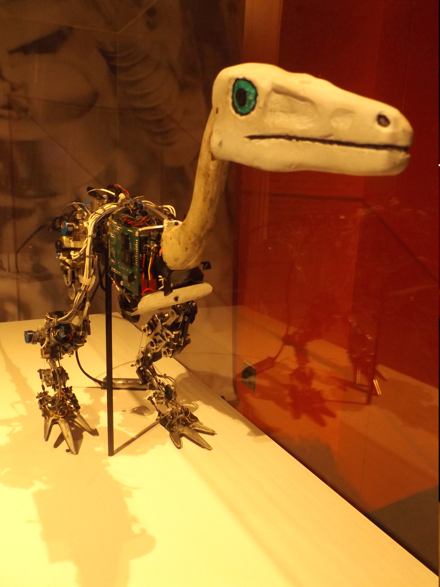 Un robot raptor, MIT museum