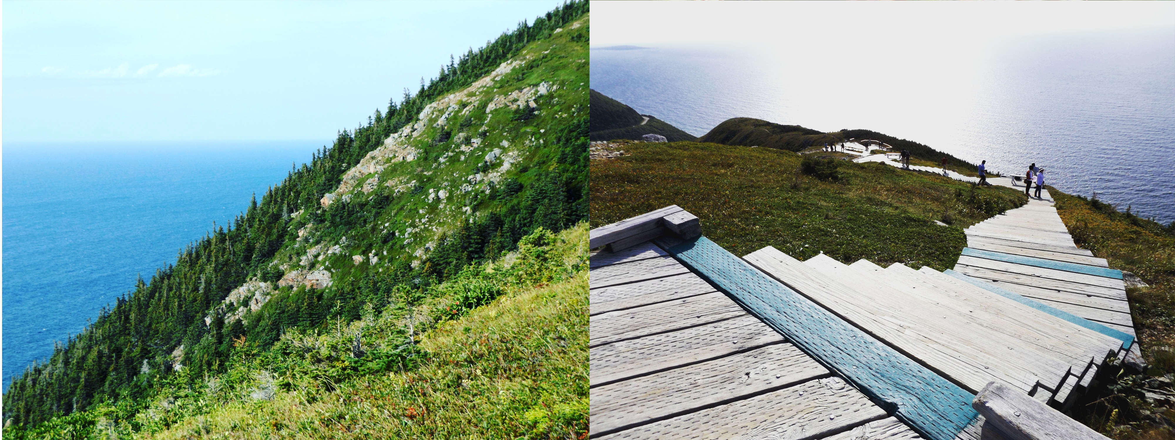 The Skyline Trail